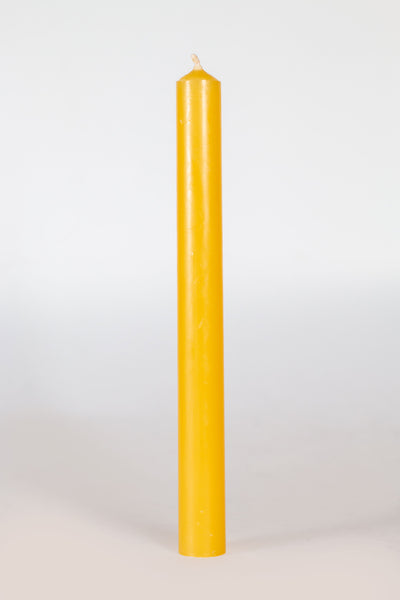 Yellow Beeswax Tall Candle Taper 24cm Candles National Candles