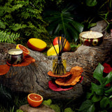 Voluspa Spiced Goji Tarocco Orange Diffuser Candles Voluspa