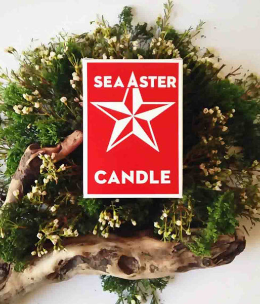 Sea Aster Candle Candles Swedish Dream   