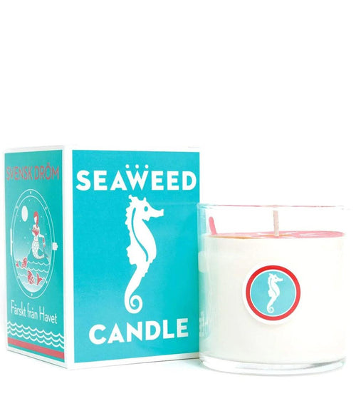 Seaweed Candle Candles Swedish Dream   